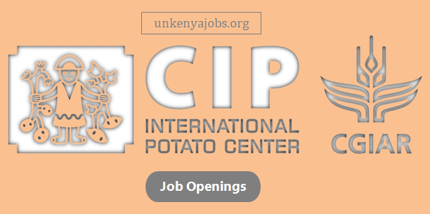 CIP Kenya Job Vacancies