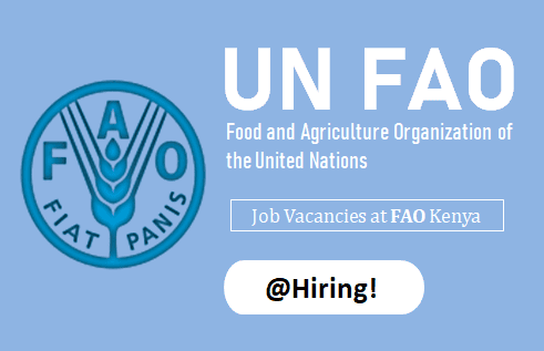 FAO Kenya Job Vacancies