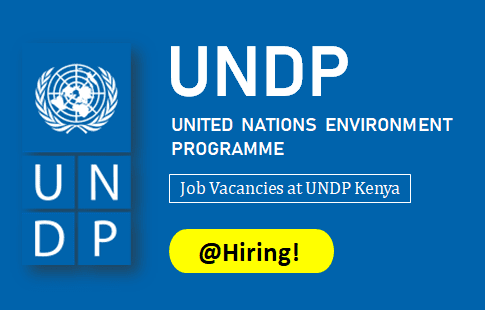 UNDP Kenya Job Vacancies