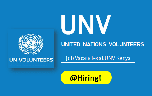 UNV Job Vacancies in Kenya