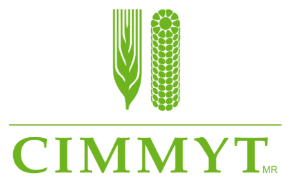 CIMMYT Jobs in Kenya
