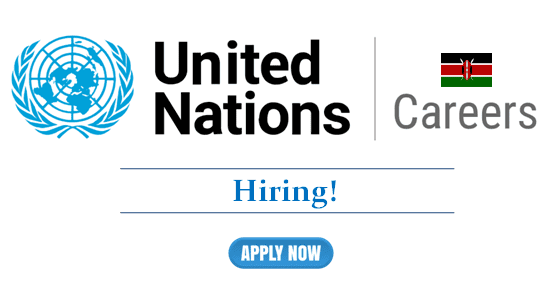 United Nations Careers 2025