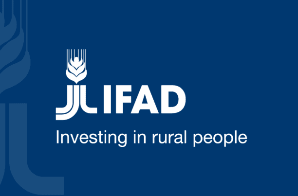 IFAD Kenya Contact Details