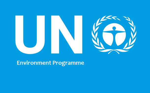 UNEP Kenya Contact Details